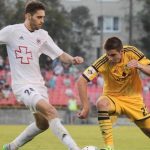 Миха Горопевшек