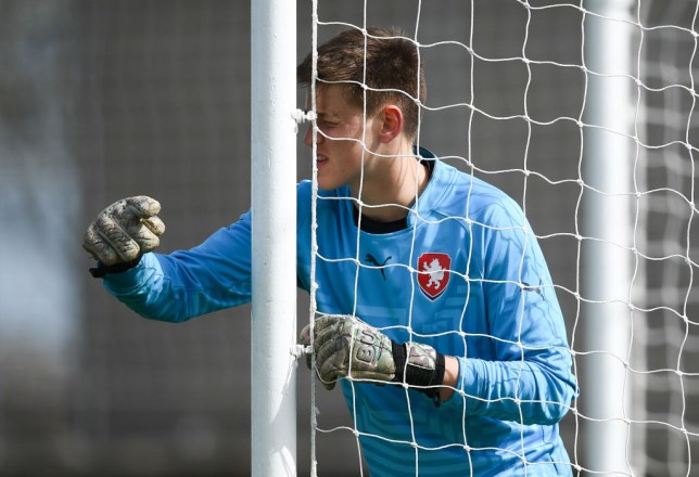 Радек Витек