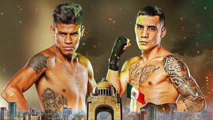 Наваррете после Беринчика. Реванш против Вальдеса – беспроигрышный вариант Наваррете после Беринчика. Реванш против Вальдеса – беспроигрышный вариант