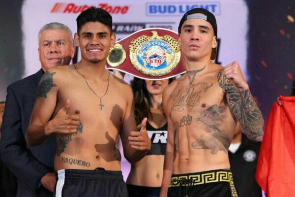 Наваррете после Беринчика. Реванш против Вальдеса – беспроигрышный вариант Наваррете после Беринчика. Реванш против Вальдеса – беспроигрышный вариант