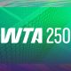 Анонс и прогноз матча Ястремская против Диан Парри