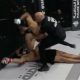 Рефери спас бойца после нокаута на турнире UFC - ВИДЕО