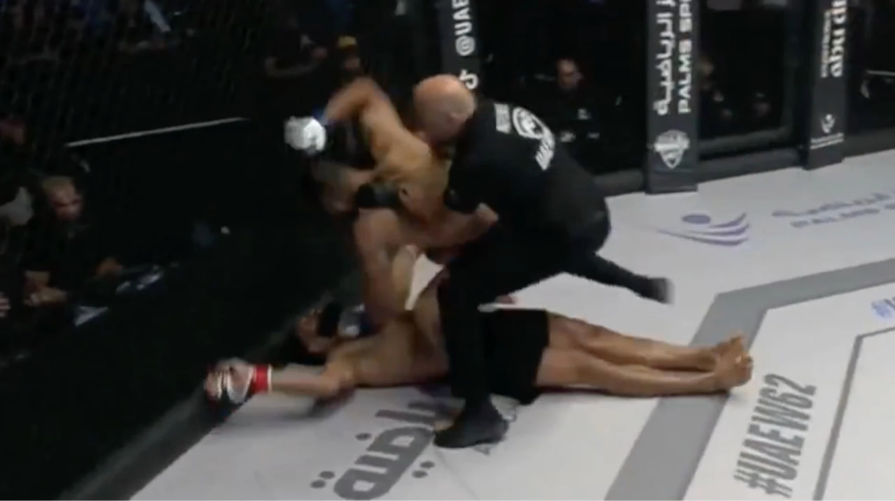 Рефери спас бойца после нокаута на турнире UFC - ВИДЕО
