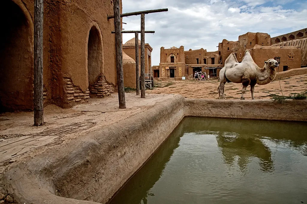 WTA Finals 2025 в Эр-Рияде: почему турнир постоянно переезжает? Трансляция и расписание матчей