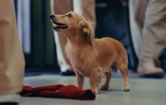 Шарль Леклер представил свою первую коллекцию одежды Шарль Леклер представил свою первую коллекцию одежды