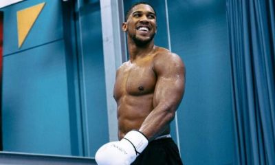 Эдди Хирн о бое Джошуа и Джейка Пола