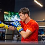 Тарас Шелестюк нацелился на Хэйни после титула WBO