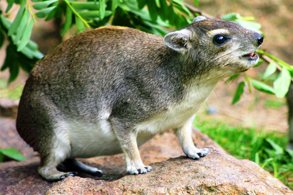 Справка: Испания, Каталония, Барселона Справка: Испания, Каталония, Барселона