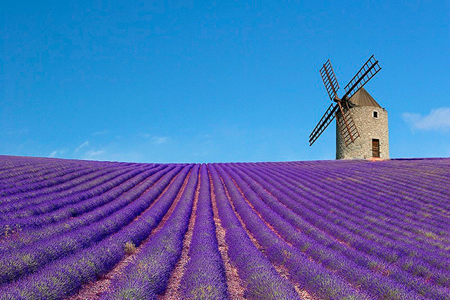 Историческая справка: Франция, Прованс Историческая справка: Франция, Прованс
