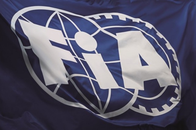 Всемирный совет FIA утвердил перечень мер безопасности