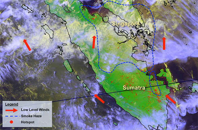 Загрязнение атмосферы в Сингапуре вызывает тревогу