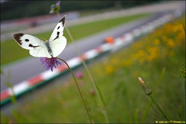Гран При Австрии: Прогноз погоды на уик-энд Гран При Австрии: Прогноз погоды на уик-энд