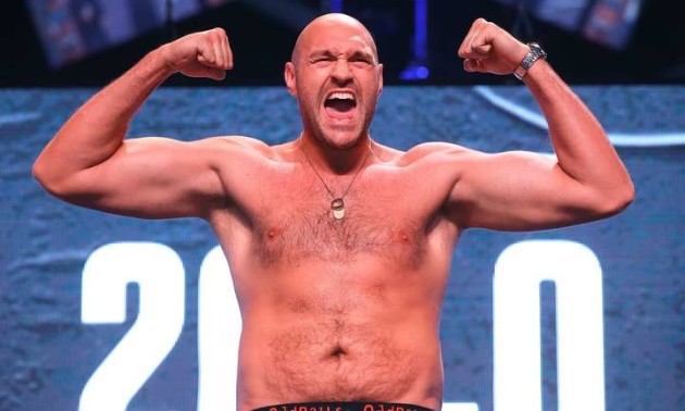 Ф'юрі: Вайлдер - дуже небезпечний і голодний Ф'юрі: Вайлдер - дуже небезпечний і голодний