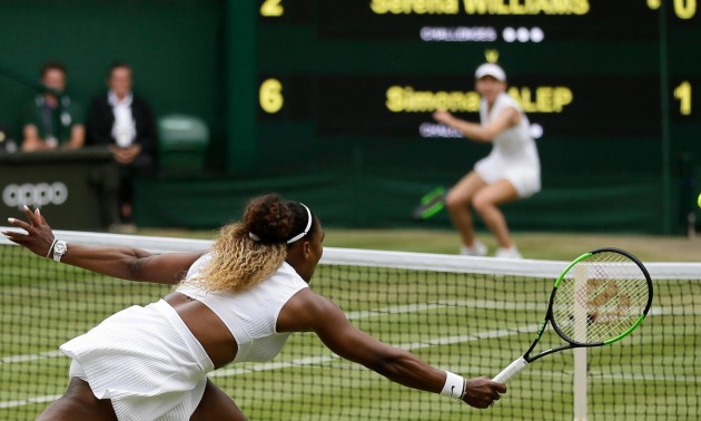 Вімблдон скасують наступного тижня Вімблдон скасують наступного тижня