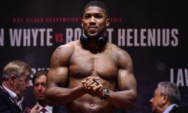 Джошуа: Якщо Руїс продовжить багато говорити, я його знищу Джошуа: Якщо Руїс продовжить багато говорити, я його знищу