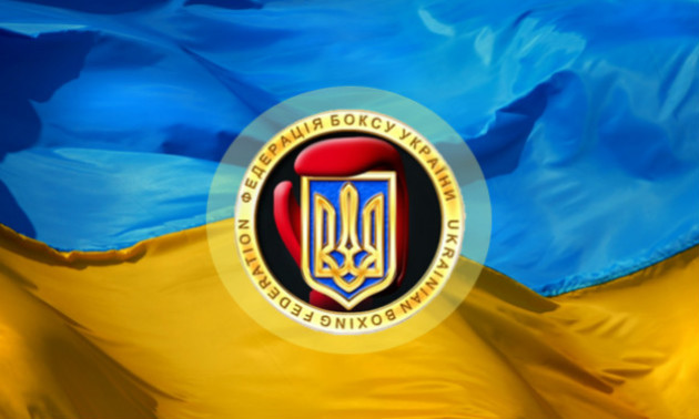 Федерація боксу України запропонувала ліквідувати професійний бокс в Україні