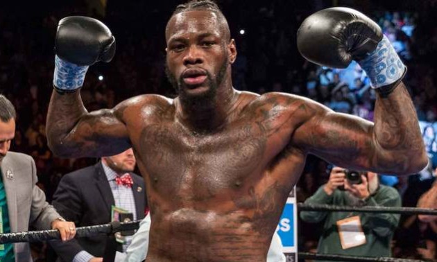 Удар, що знищив Брізіла в бою проти Вайлдера Удар, що знищив Брізіла в бою проти Вайлдера