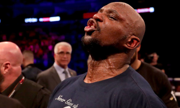 Вайт проведе бій в андеркарті реваншу Джошуа - Руїс Вайт проведе бій в андеркарті реваншу Джошуа - Руїс