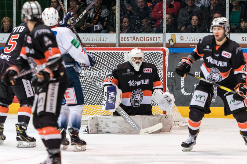 Обладатель Континентального кубка, чемпионы мира и участник Лиги чемпионов: новички «Донбасса» под микроскопом