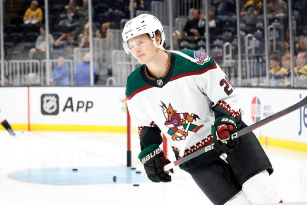 Торонто выменял Тимминса из Аризоны