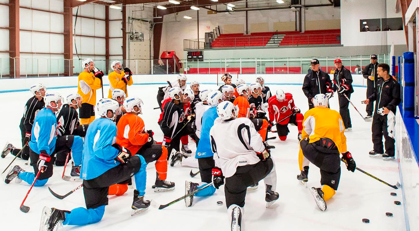 Клубам НХЛ разрешили открыть тренировочные центры в начале июня