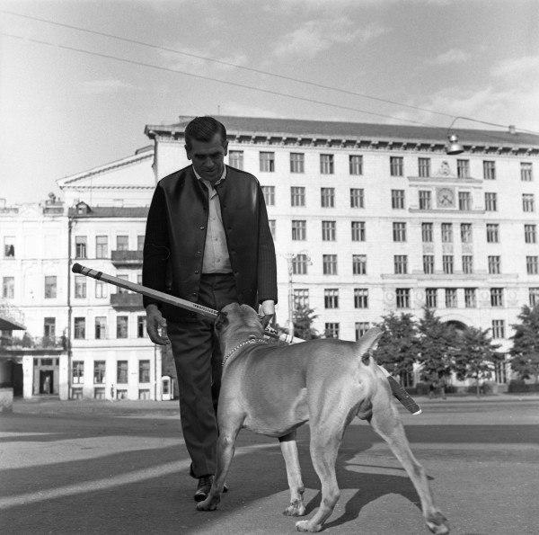 Сегодня исполнилось 102 года с дня рождения Дмитрия Богинова