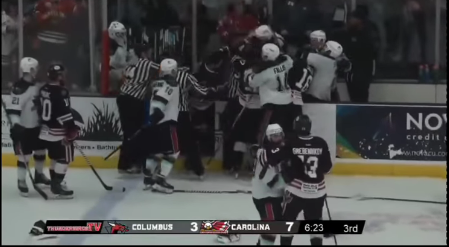 В США хоккейный матч завершился массовым побоищем (видео)