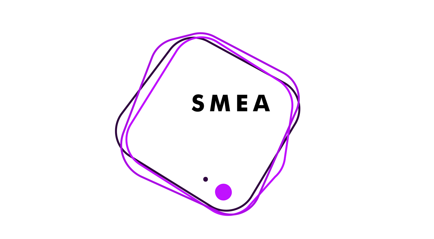 Академия SMEA проведёт лекции о спортивном менеджменте и спонсорстве в спорте 
