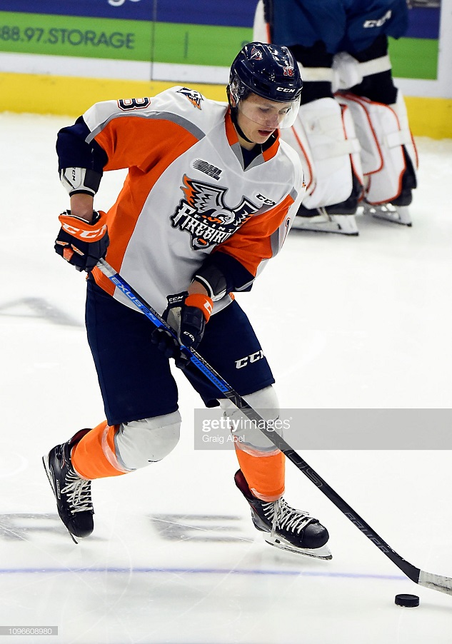 Четыре игрока из НХЛ отправятся в Динамо Минск