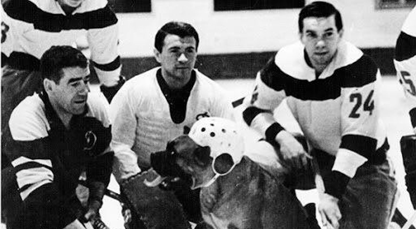 Сегодня исполнилось 102 года с дня рождения Дмитрия Богинова