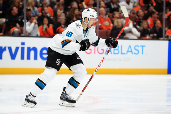 "Сан-Хосе" - "Калгари": первая победа "Шаркс"