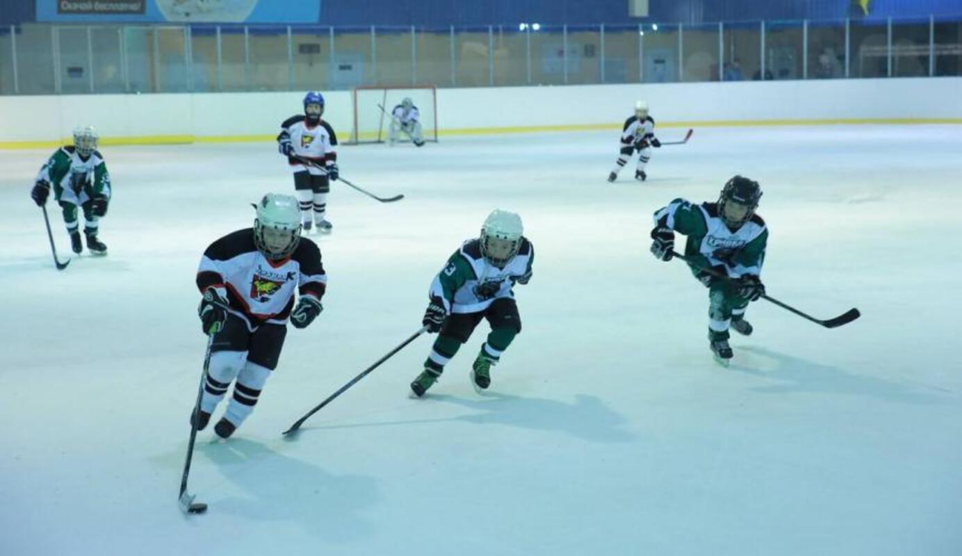 Утвержден окончательный список участников Чемпионата Украины по хоккею среди детей