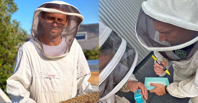 Чемпион турниров ATP занялся пчеловодством во время паузы в сезоне Чемпион турниров ATP занялся пчеловодством во время паузы в сезоне