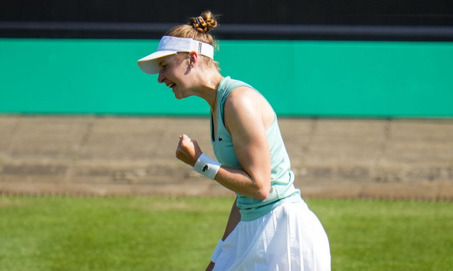 Хертогенбос. 17-летняя швейцарка победила Уильямс-старшую, Волынец снова проиграла Макнелли Хертогенбос. 17-летняя швейцарка победила Уильямс-старшую, Волынец снова проиграла Макнелли