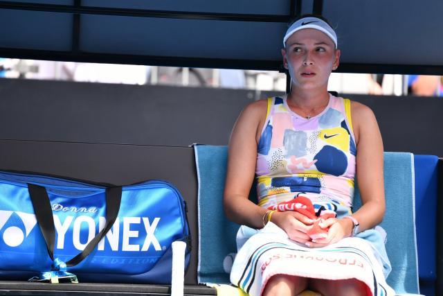 Донна Векич: "Мне очень жаль Новака. У него были только благие намерения"