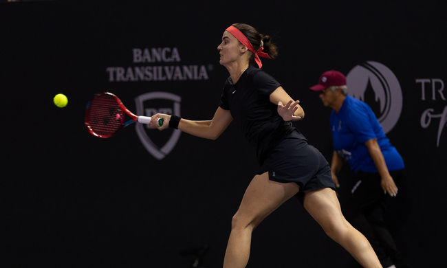 Шрусбери. Калинина победила ещё одного "квалифаера" и вышла в полуфинал Шрусбери. Калинина победила ещё одного "квалифаера" и вышла в полуфинал