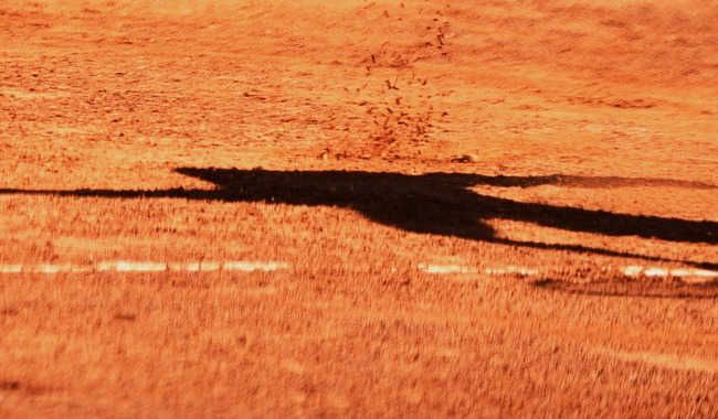 Чемпионат Украины (U18). Известны финалисты одиночного турнира и победители в парном разряде