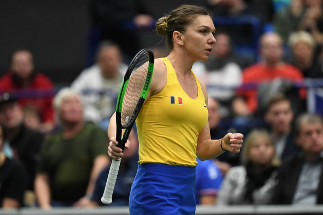 Кубок Федерации. Халеп и Плишкова выиграли свои первые матчи, Беларусь ведёт в противостоянии с Германией