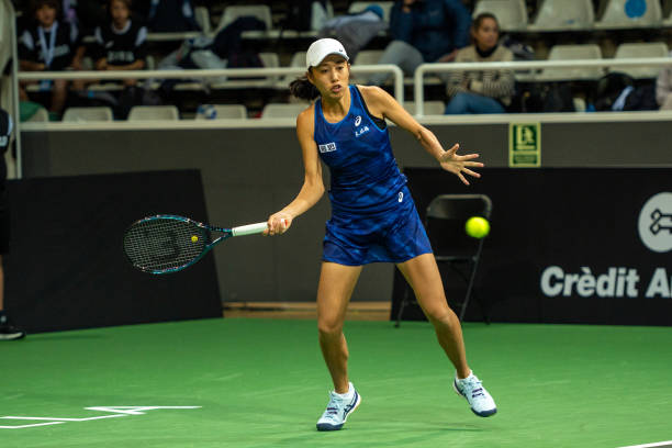 Лимож. Первая ракетка турнира стала соперницей Калининой в четвертьфинале Лимож. Первая ракетка турнира стала соперницей Калининой в четвертьфинале