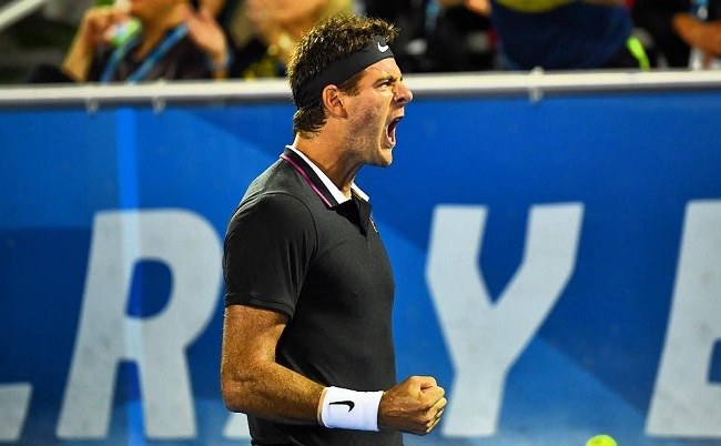 Хуан Мартин дель Потро: "Мне больше не хотелось смотреть теннисные турниры по телевизору" Хуан Мартин дель Потро: "Мне больше не хотелось смотреть теннисные турниры по телевизору"